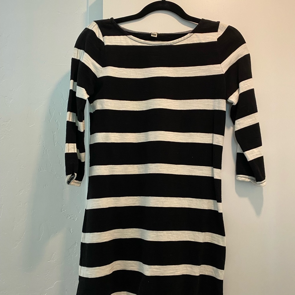 JCrew Cotton Summer Long-Sleeved Mini Dress